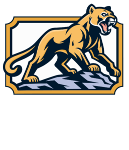 Big Cat Injury Law Logo